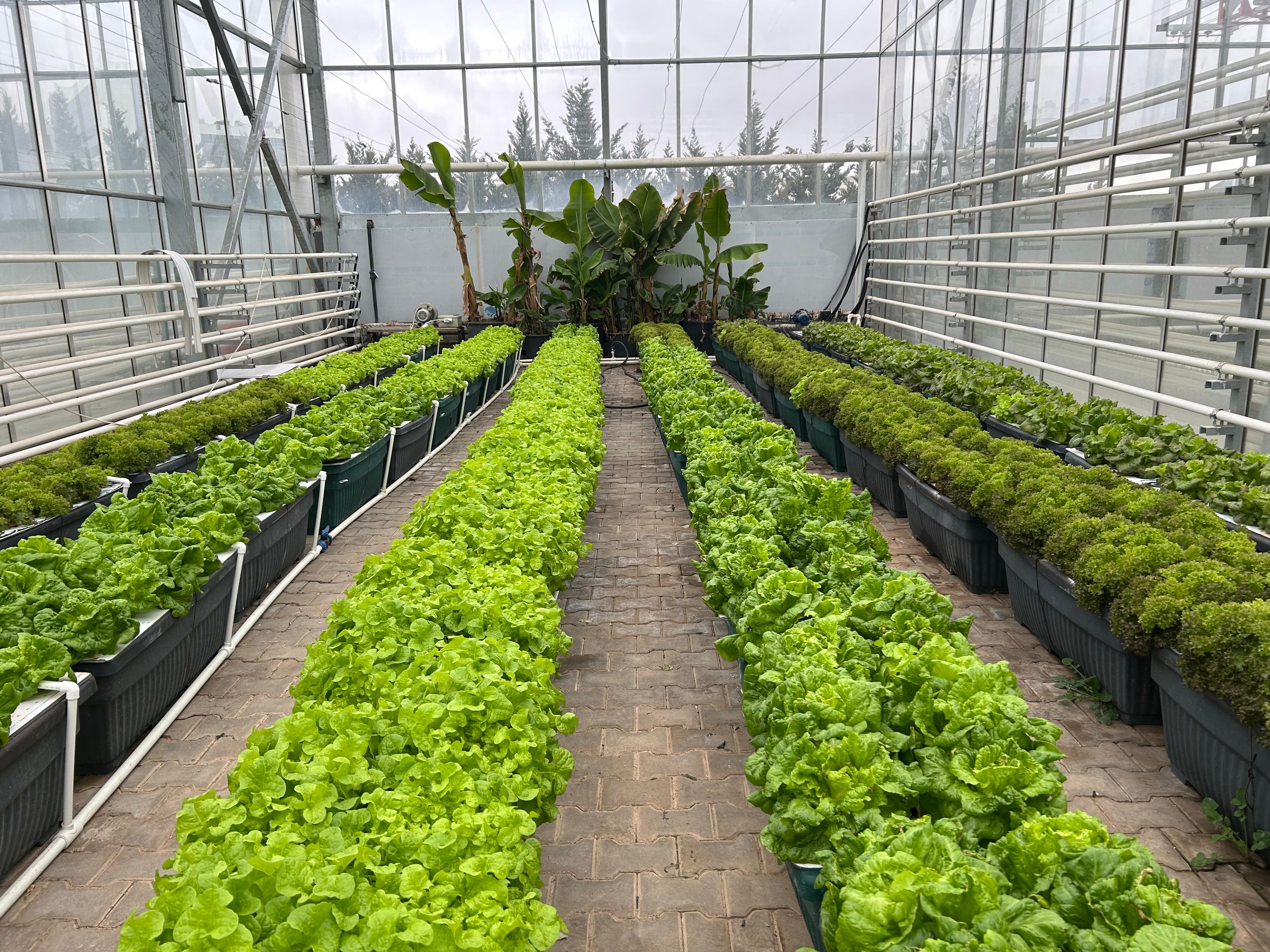 Öğrencilerimizin TÜBİTAK 2209-A Projeleri AR-GE Seramızda Devam Ediyor